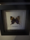 review-img