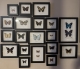 review-img