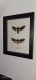 review-img