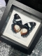 review-img
