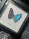 review-img