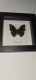 review-img