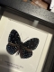 review-img
