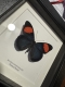 review-img