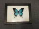 review-img