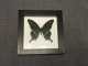 review-img