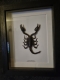 review-img