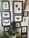 review-img