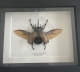 review-img