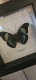 review-img