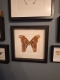 review-img
