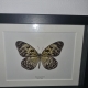 review-img