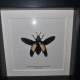 review-img