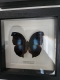 review-img