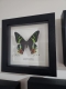 review-img