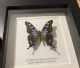 review-img