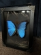 review-img