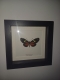 review-img