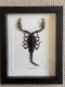 review-img
