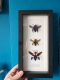 review-img