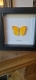 review-img