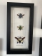 review-img