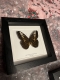review-img