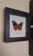 review-img