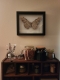 review-img