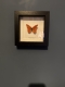 review-img