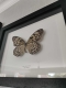 review-img
