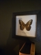 review-img
