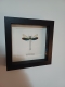 review-img