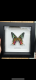 review-img