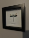 review-img