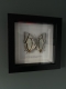 review-img