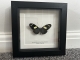 review-img