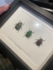 review-img