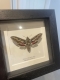 review-img