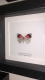 review-img