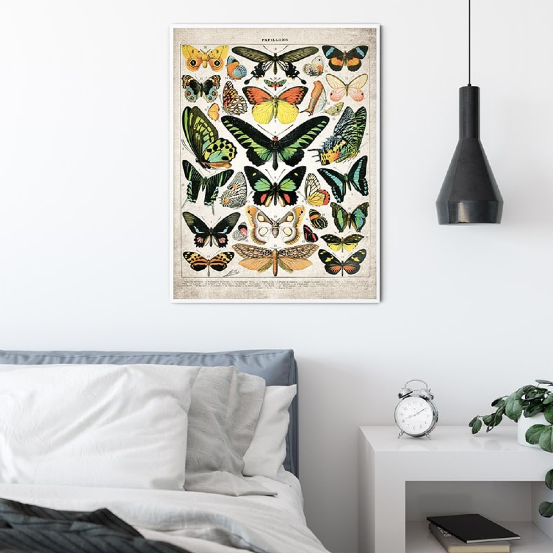 Vintage Entomology Giclee Print (Butterflies & Moths Plate 2 From 1907) Vintage Entomology Giclee Print (Butterflies & Moths Plate 2 From 1907)