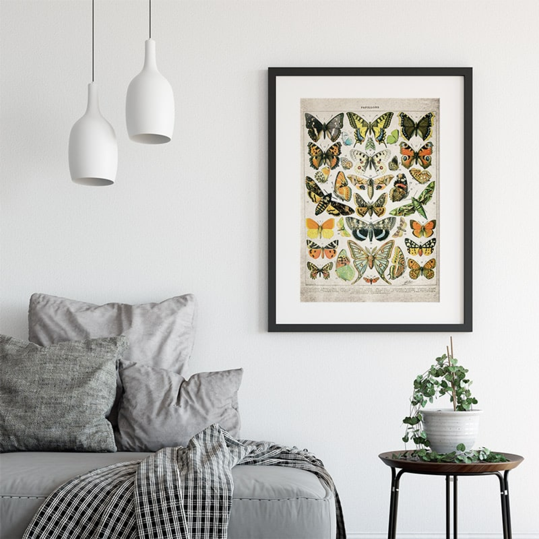 Vintage Entomology Giclee Print (Butterflies & Moths Plate From 1907)