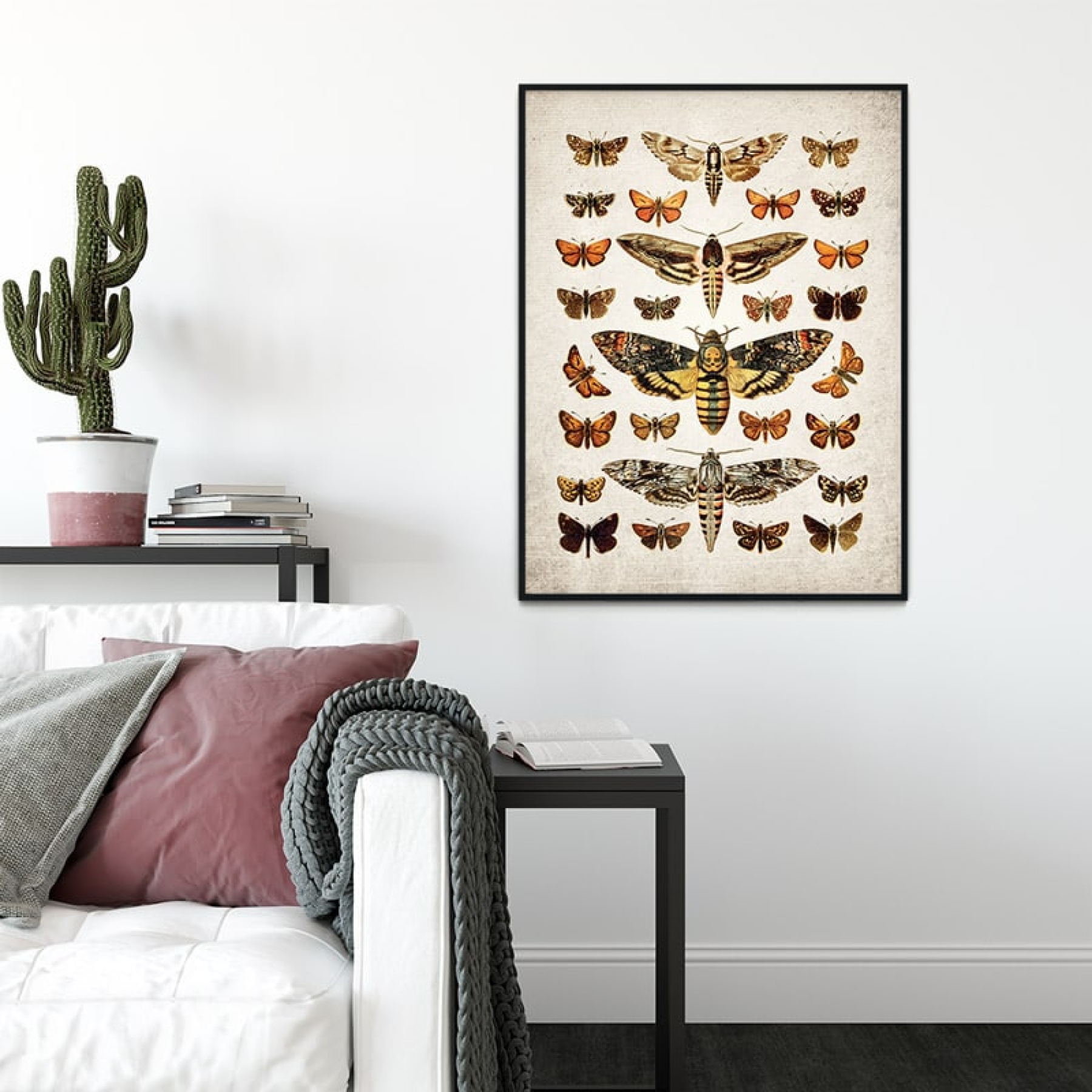 Vintage Entomology Giclee Print (Death's Head & Moths Plate From 1907) Vintage Entomology Giclee Print (Death's Head & Moths Plate From 1907)