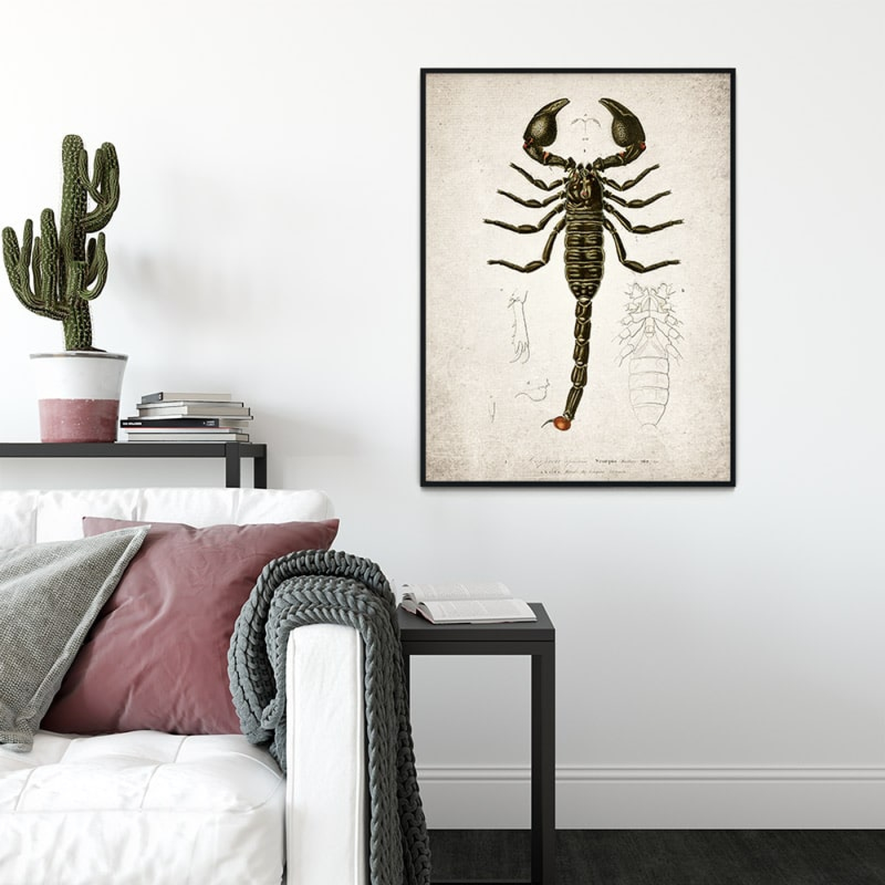 Vintage Entomology Giclee Print (Scorpion 1907) Vintage Entomology Giclee Print (Scorpion 1907)