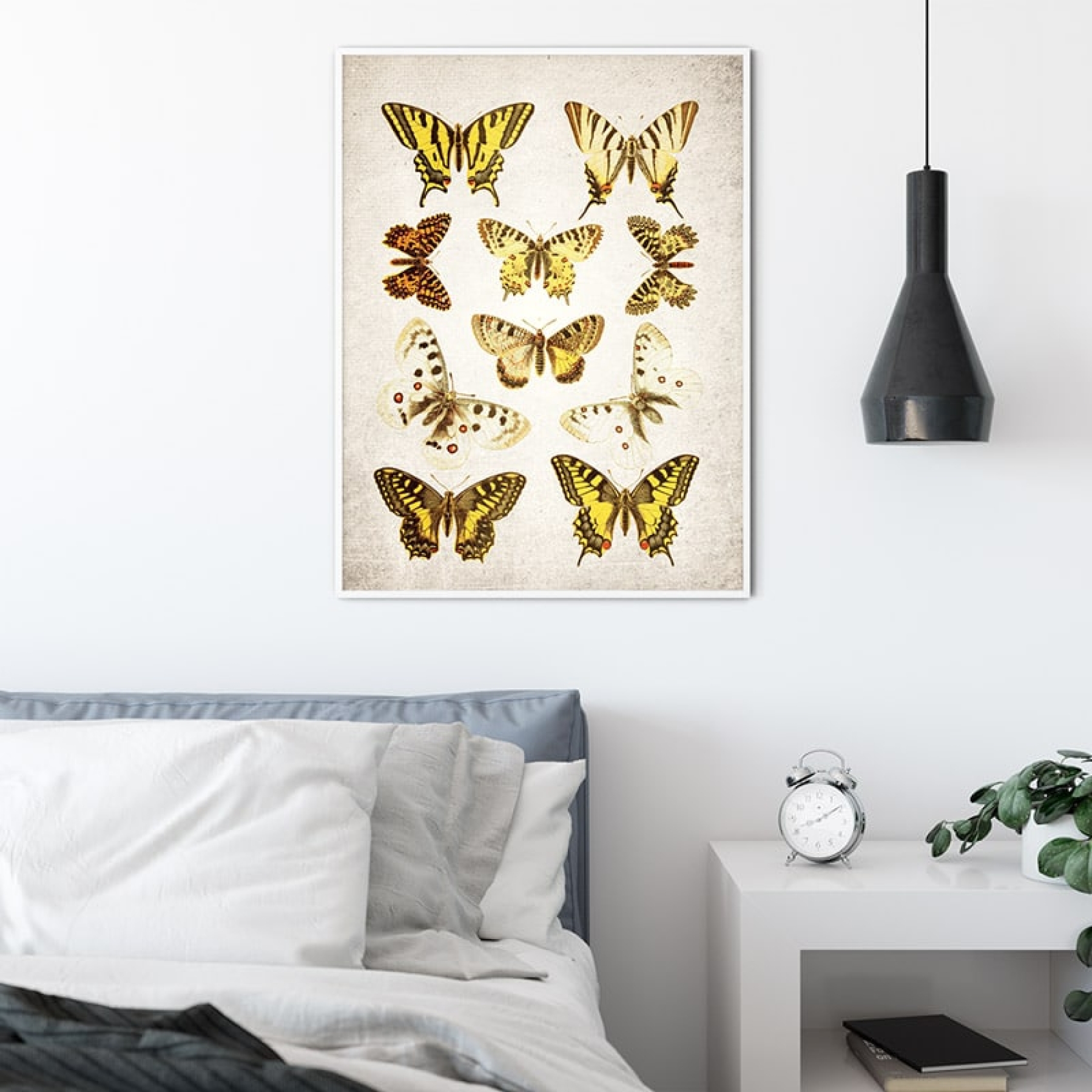 Minibeast Vintage Entomology Giclee Print (Papilio Plate 1907)
