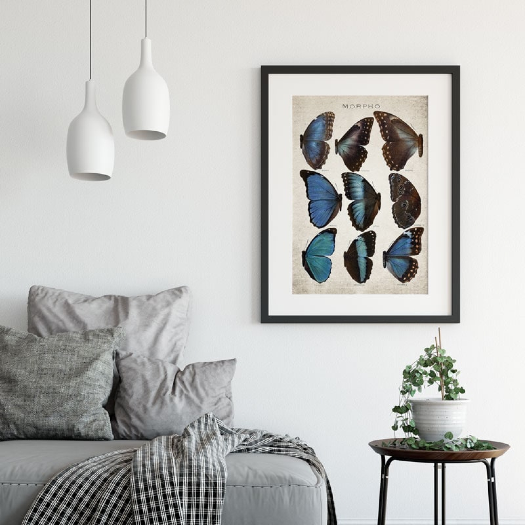 Vintage Entomology Giclee Print (Morpho Collection 2 Plate From 1867)