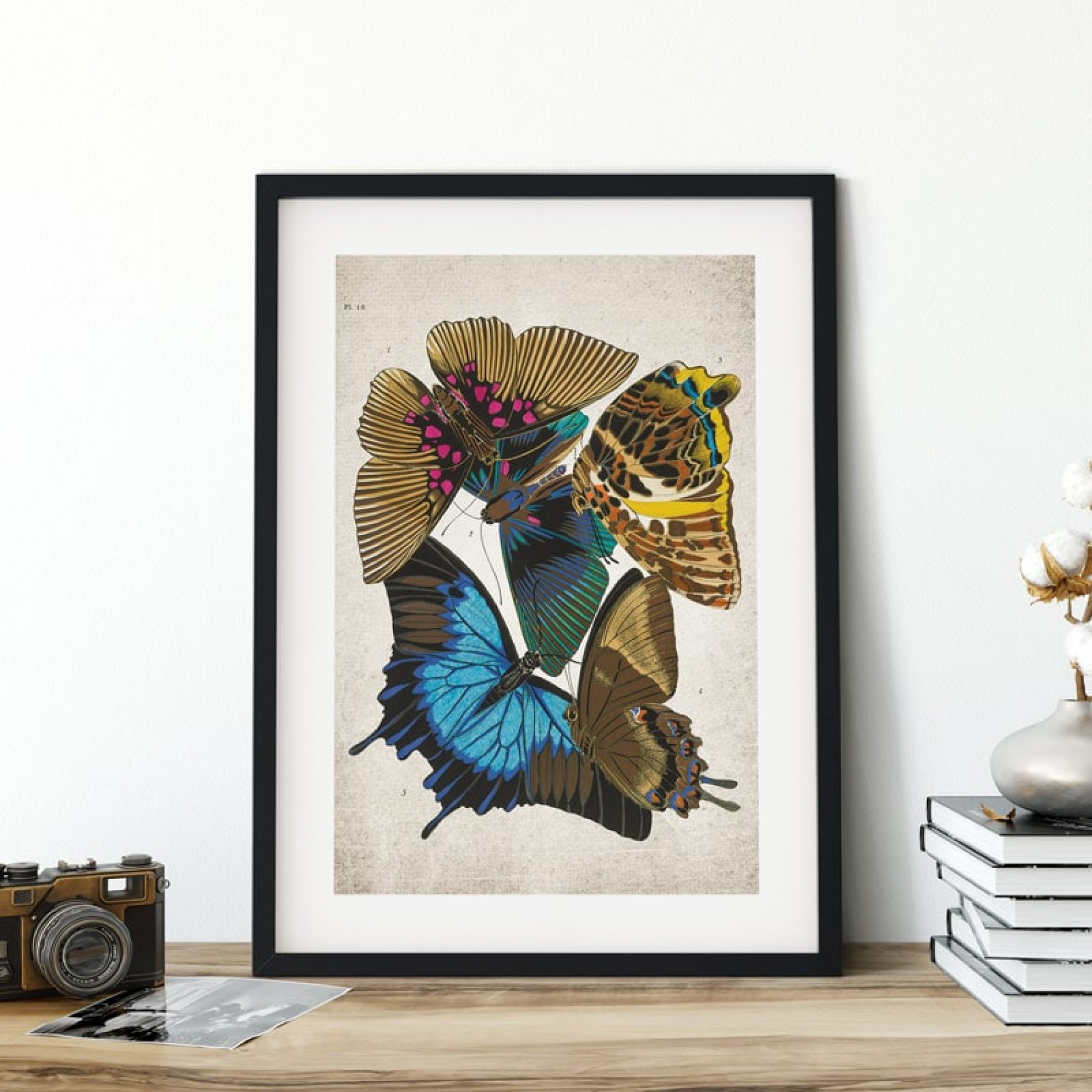 Vintage Entomology Giclee Print (Papilio 1925)
