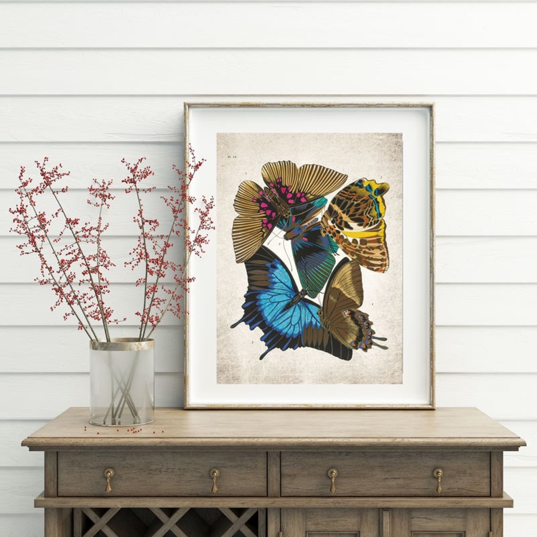 Vintage Entomology Giclee Print (Papilio 1925)
