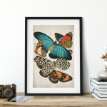Minibeast Vintage Entomology Giclee Print (Zalmoxis Plate From 1925)