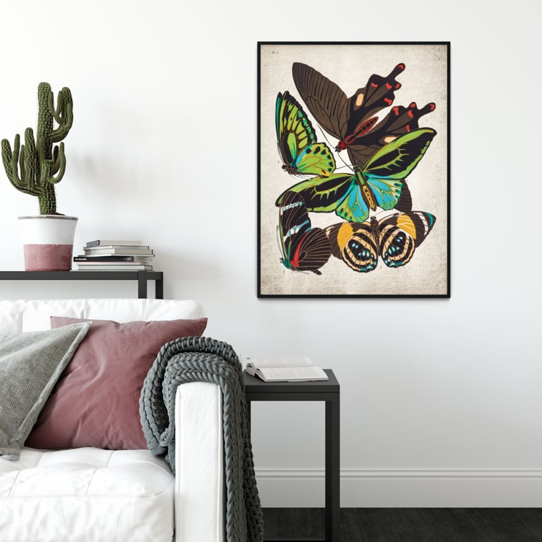 Vintage Entomology Giclee Print (Papilio Two 1925)